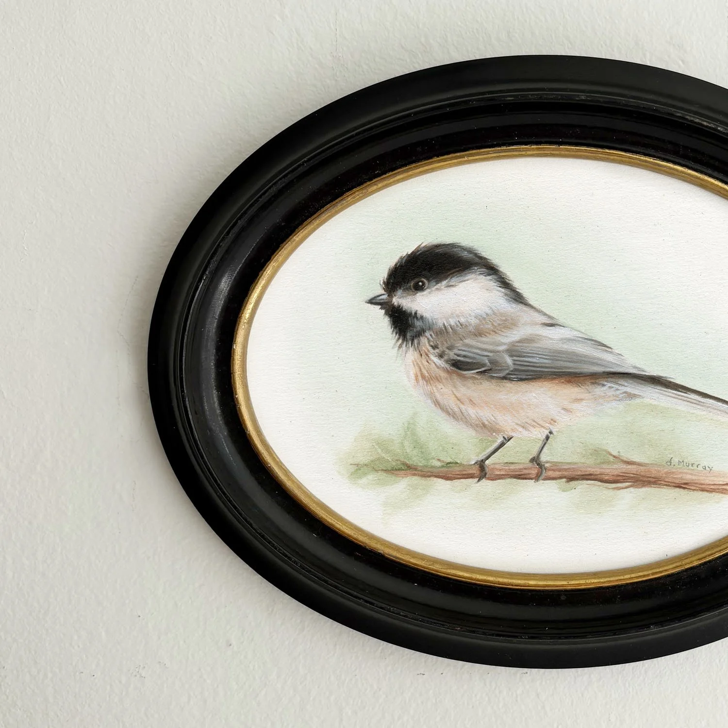 chickadee-1.jpg