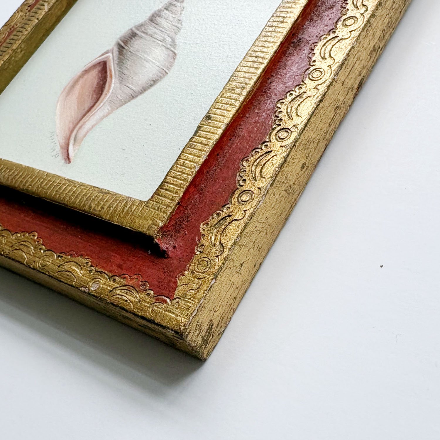 DM-Shellno4-detail2.jpg