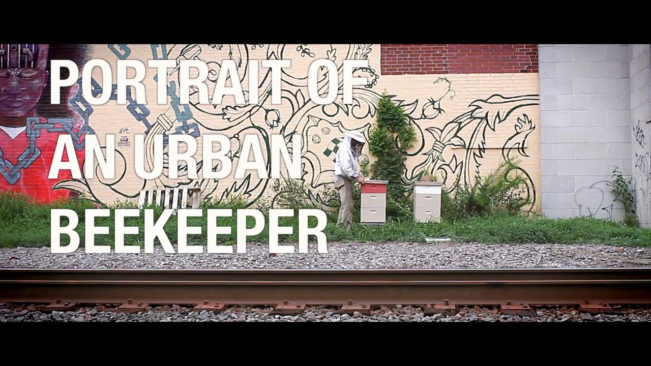 Portrait of an Urban Beekeeper
