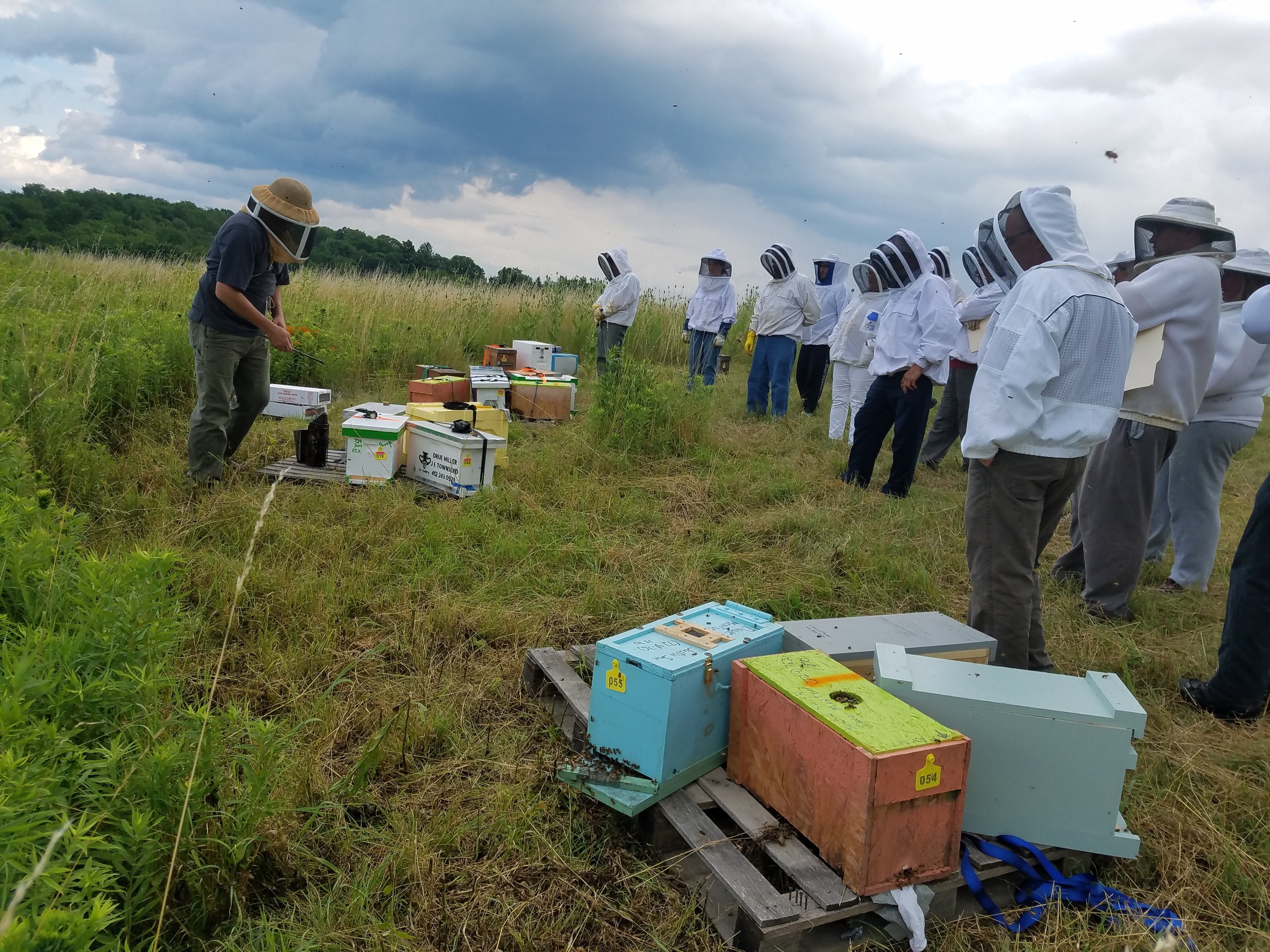 Pure Nebraska Beeswax (One) 1lb Block – Prairie River Honey Farm