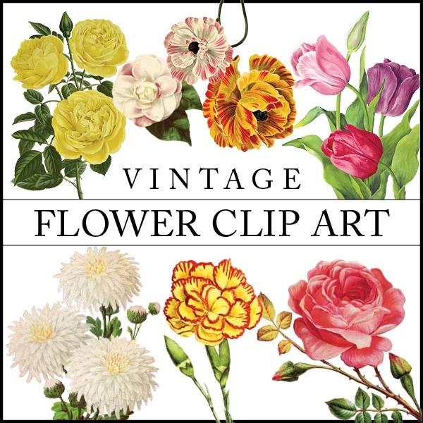 Graphics Sale | 50% Off