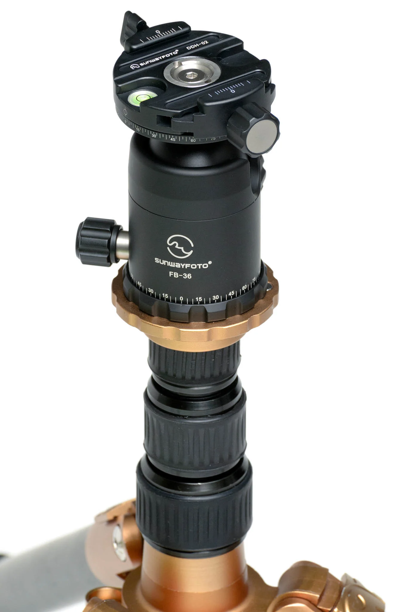 CBF5587-edited,huge.jpg