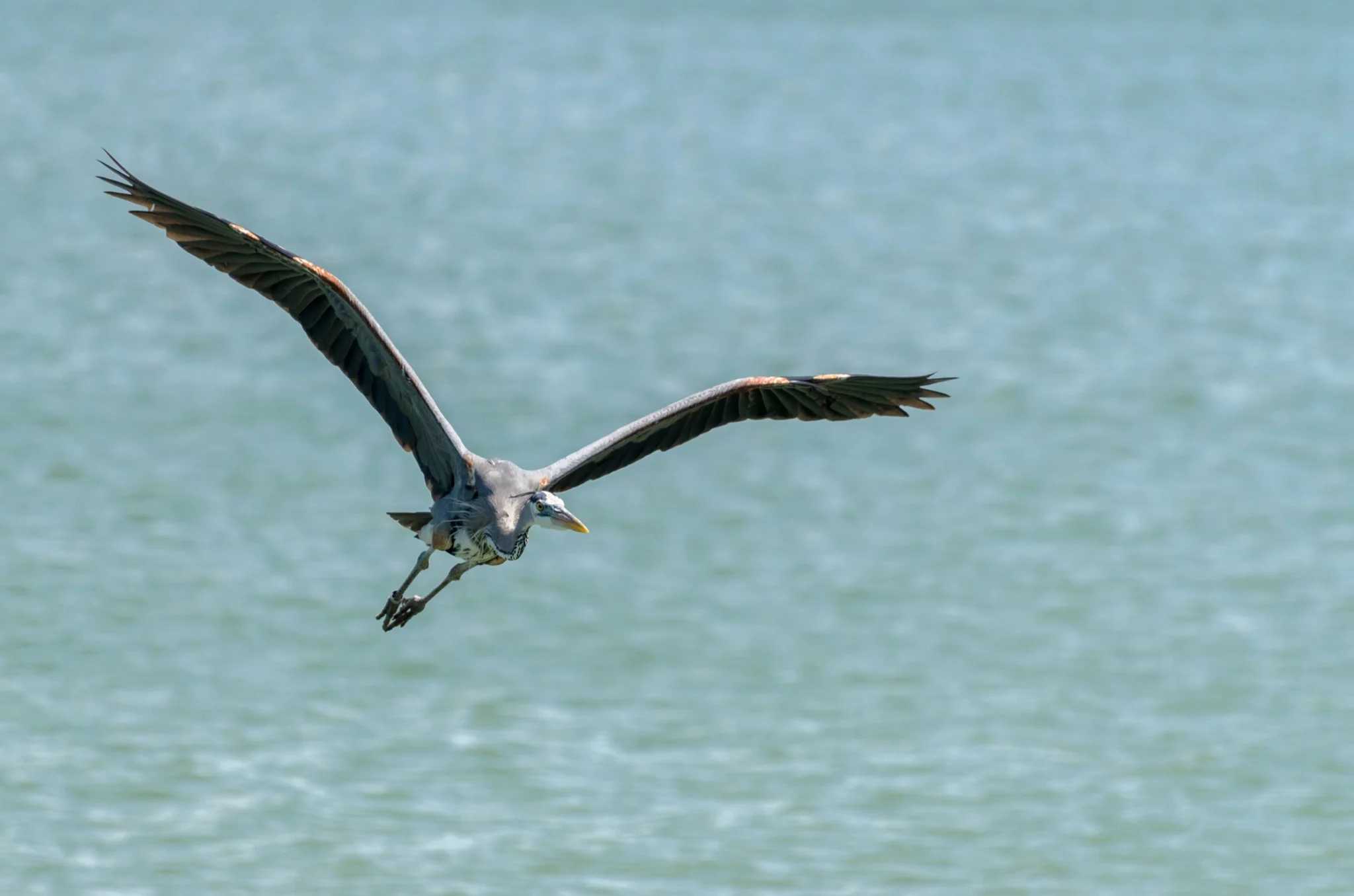 Flight