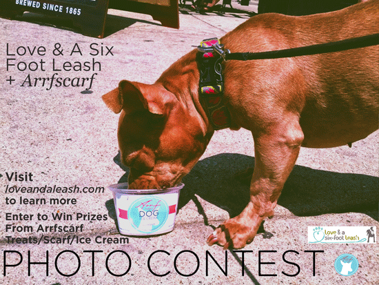 loveandleashcontest2.gif