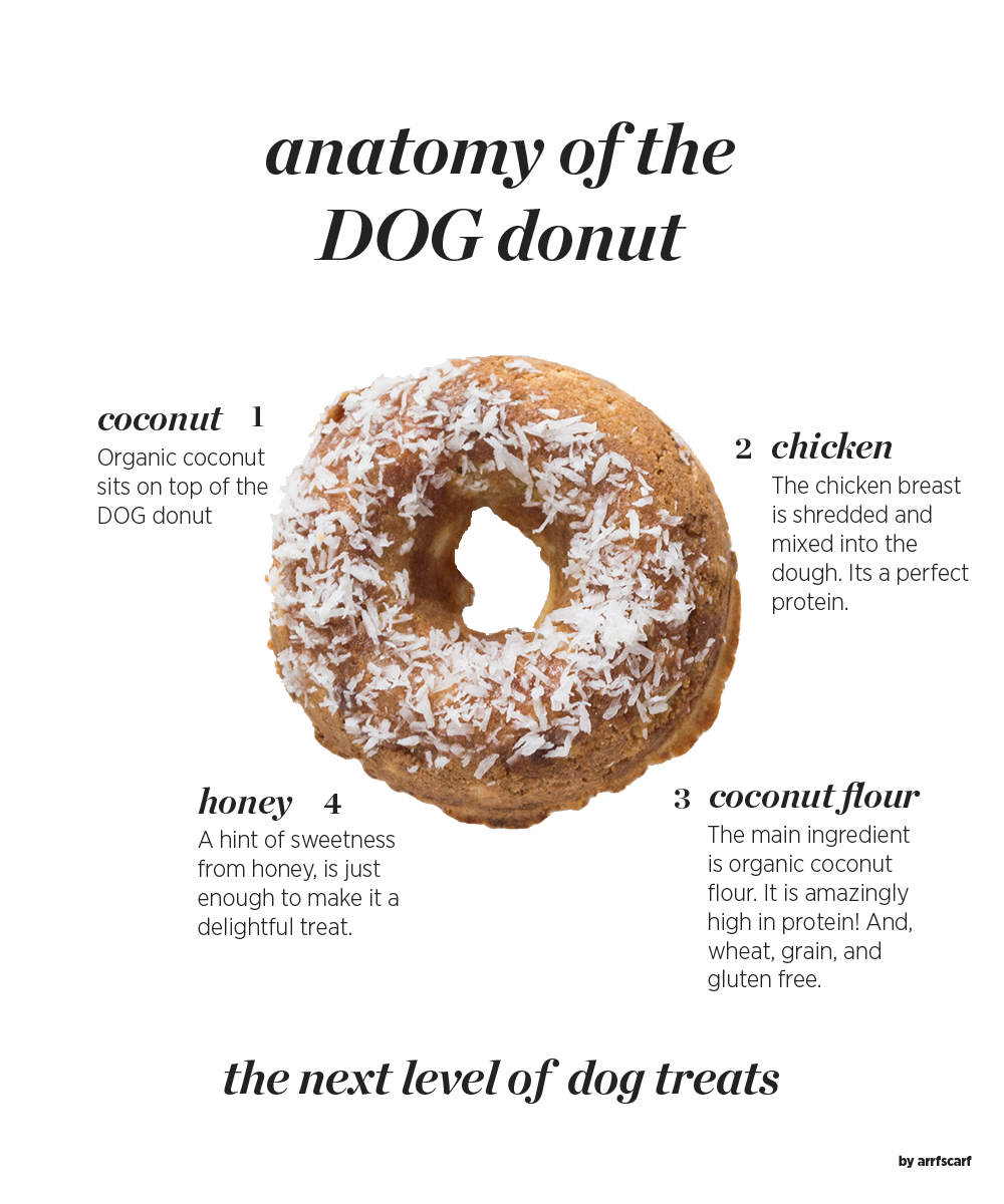 DOGdonut.png