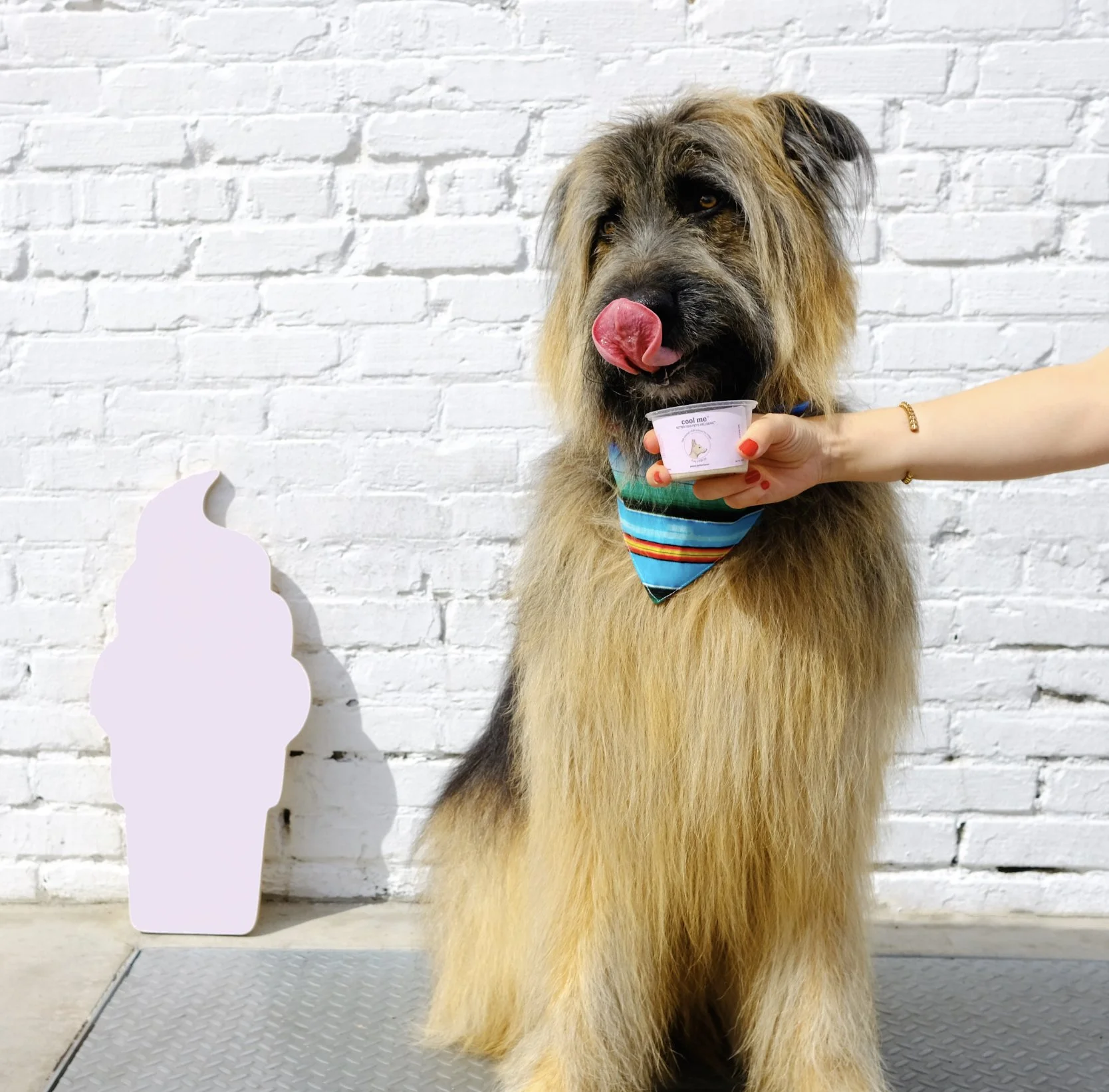 Dog Ice Cream CBD for dogs