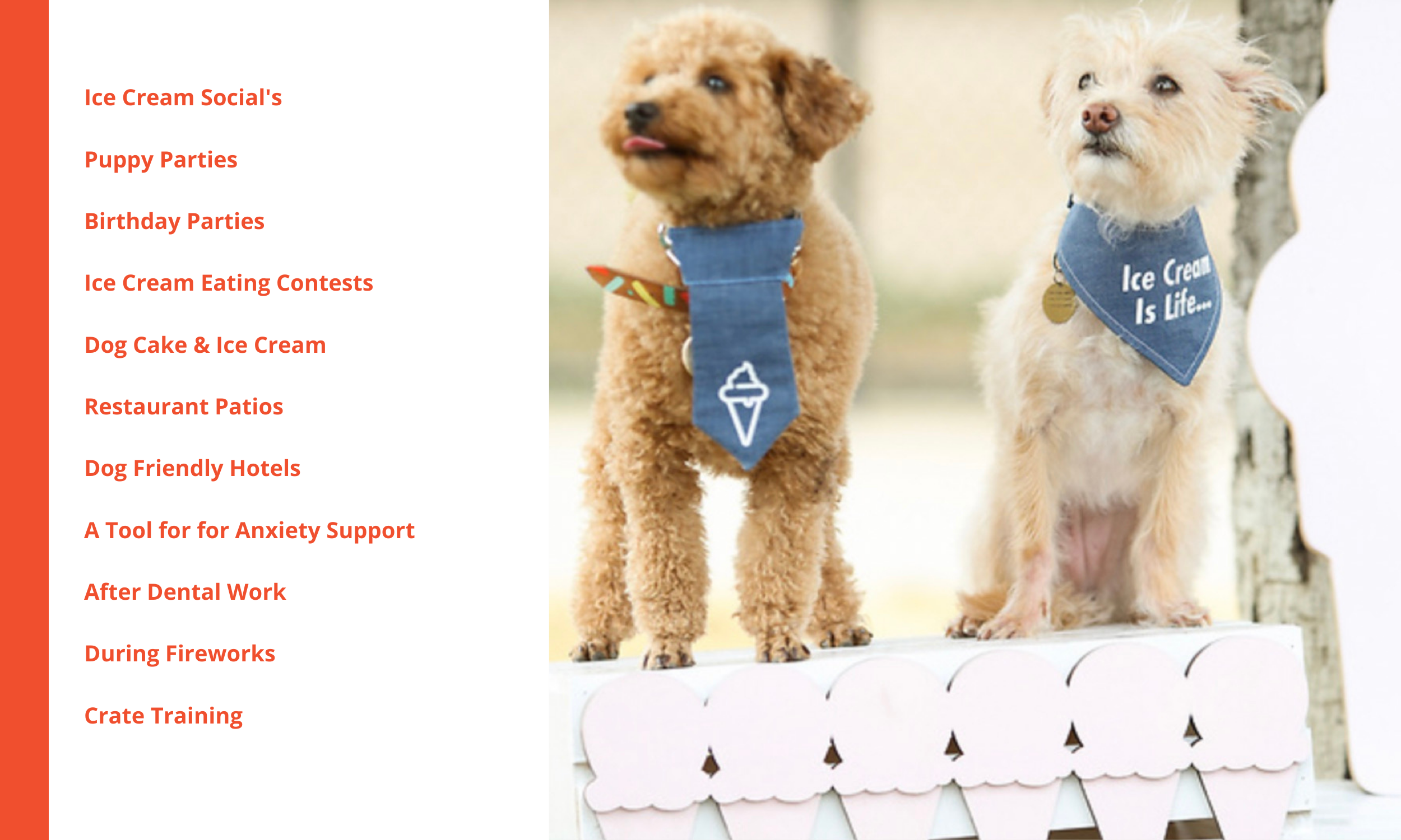 healthy dog ice cream dog treats