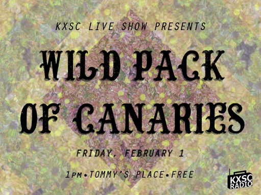 wild pack of canaries.jpg
