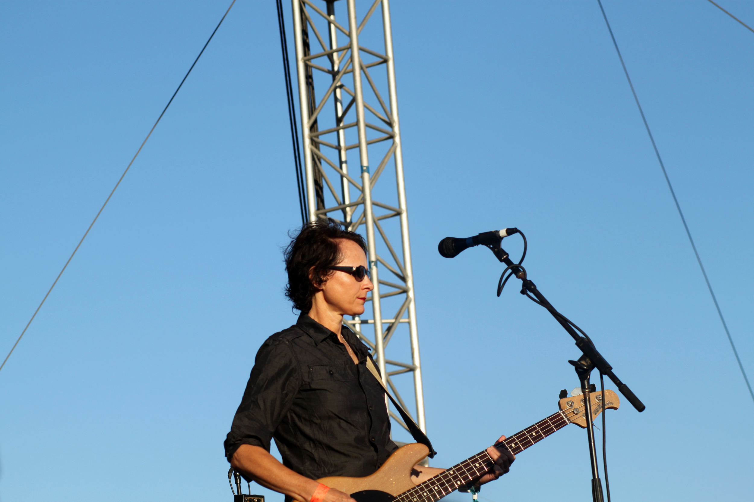 The Breeders