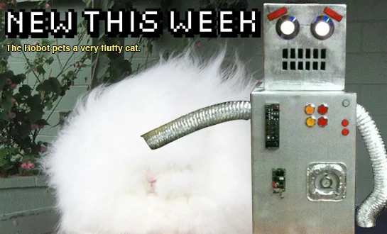 FLUFFYCATnewthisweek.jpg