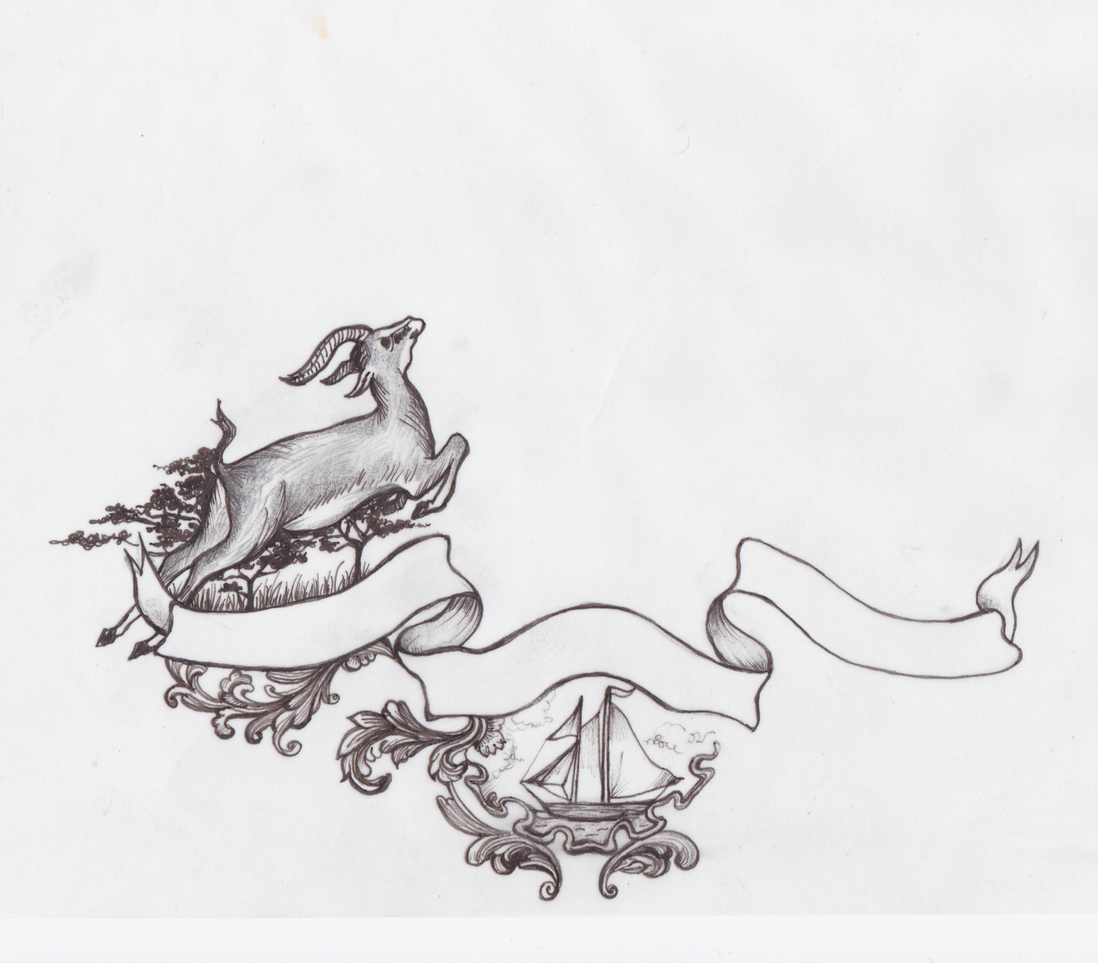1: Scanned gazelle and framework