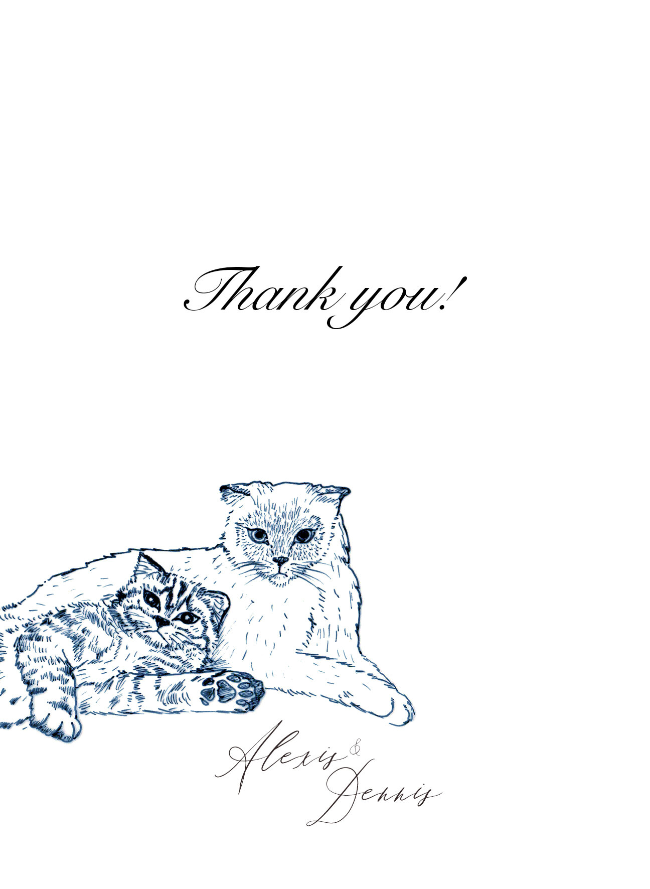 Thank-You-Cats.jpg