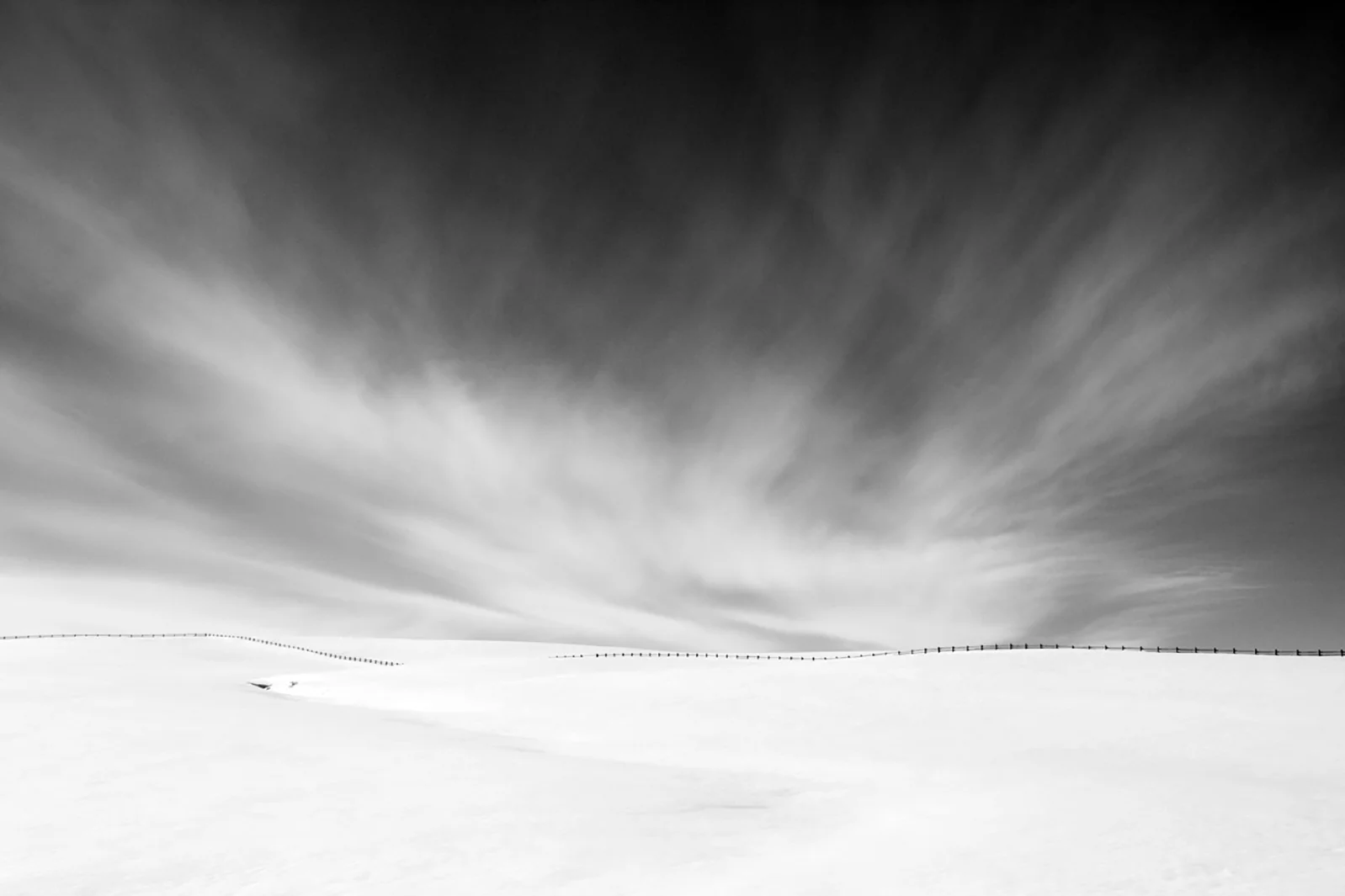 Fenceline in Winter
