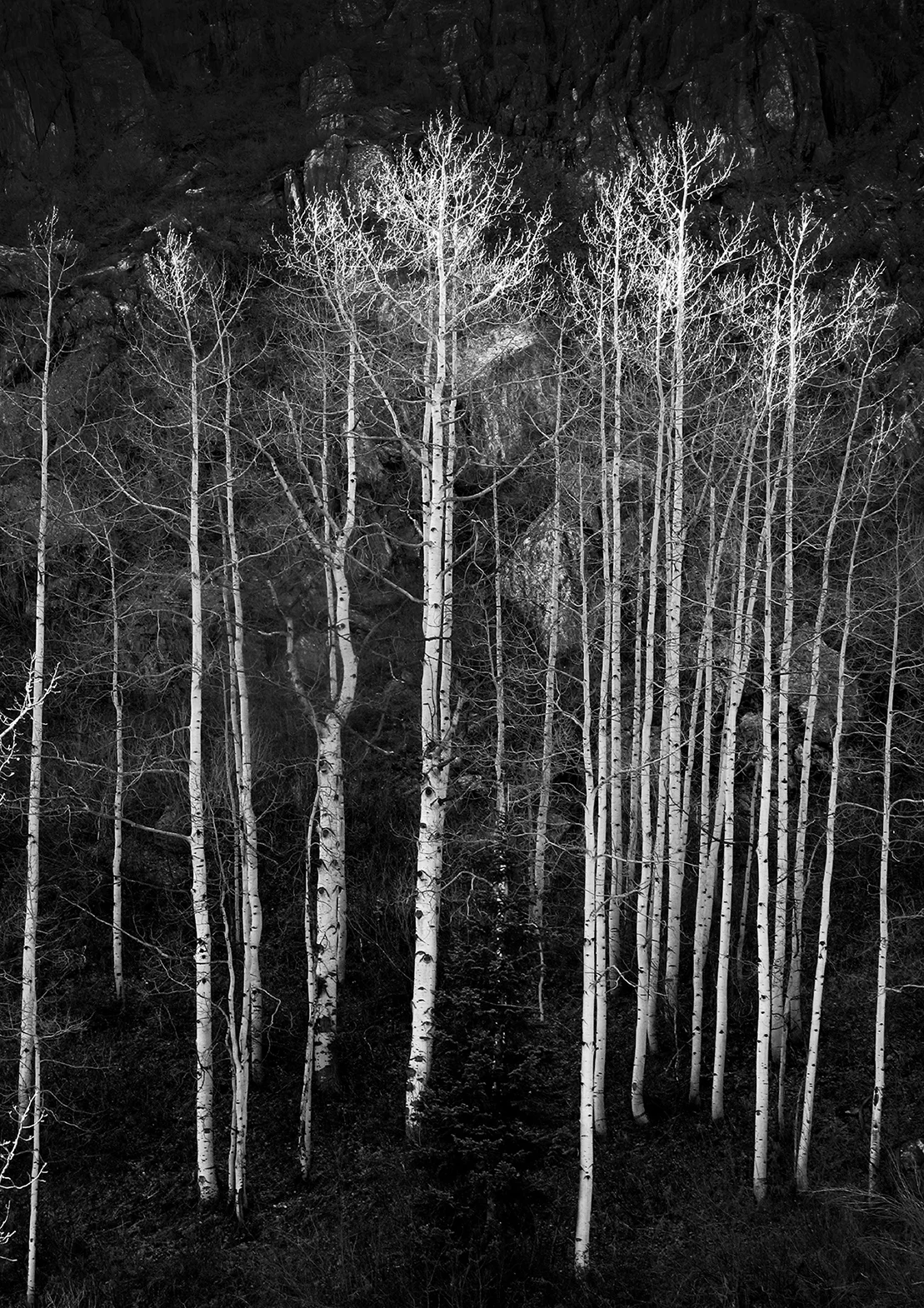 aspens II