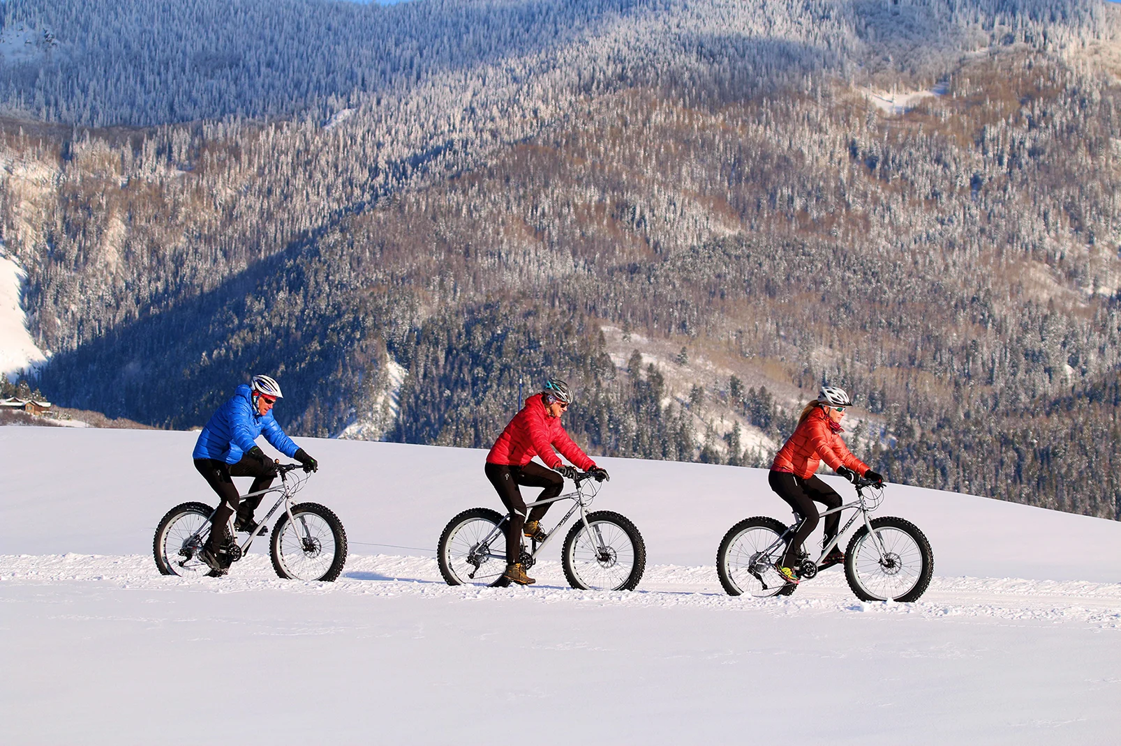 Snow biking