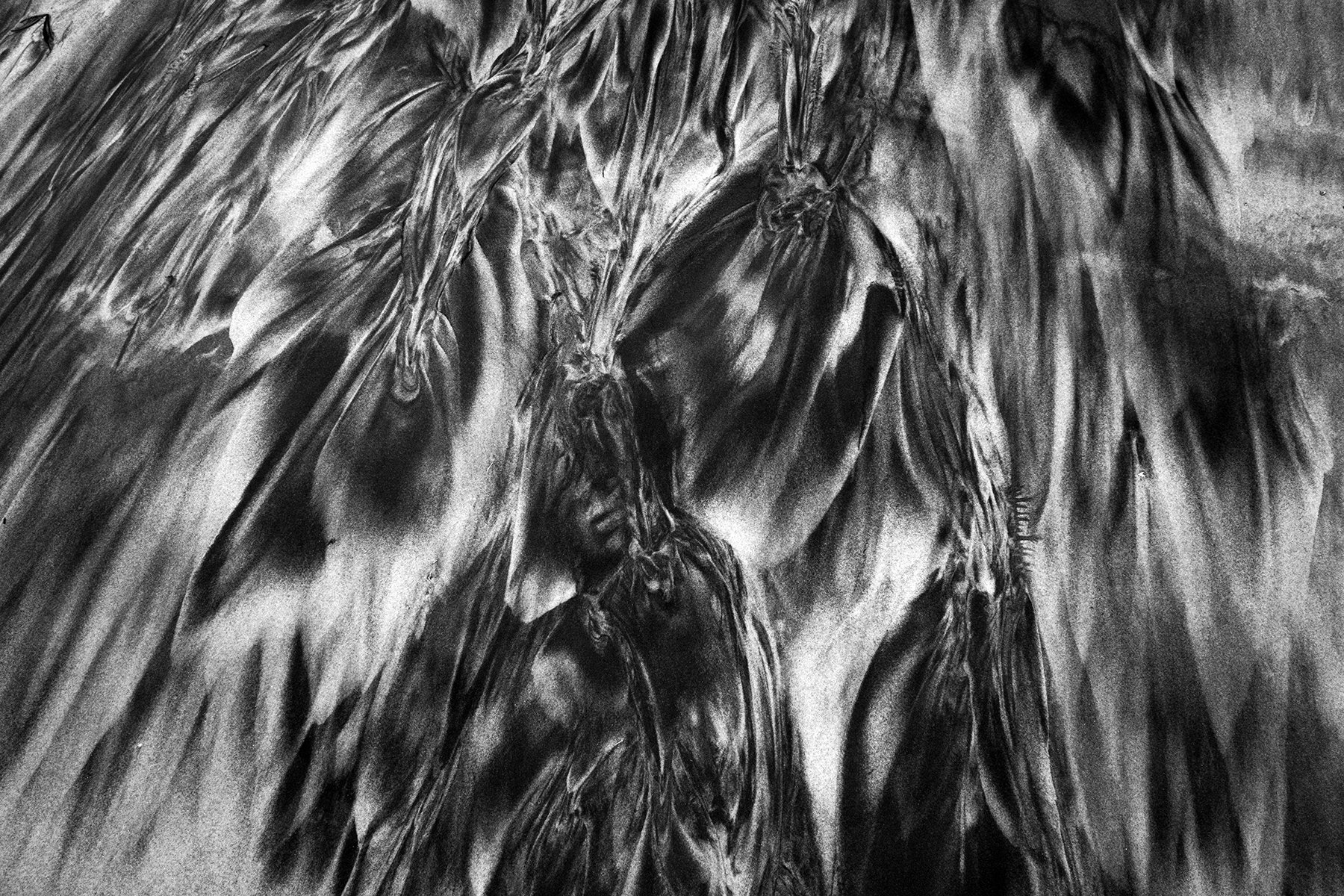 Surf and Sand Patterns, Study 5, La Jolla, California