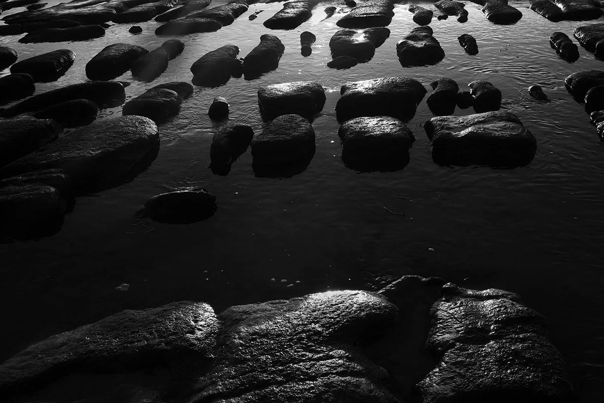 Tidepool, San Diego, California