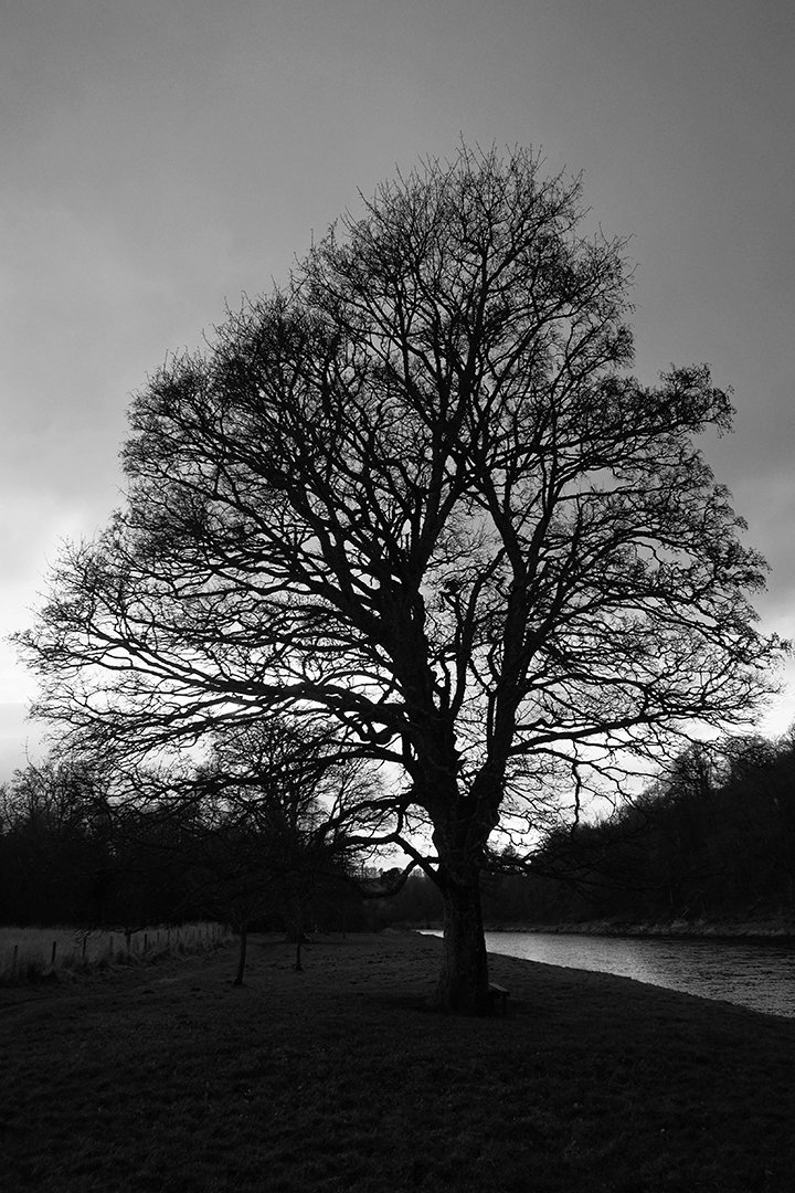 River Spey6934 copy.jpg