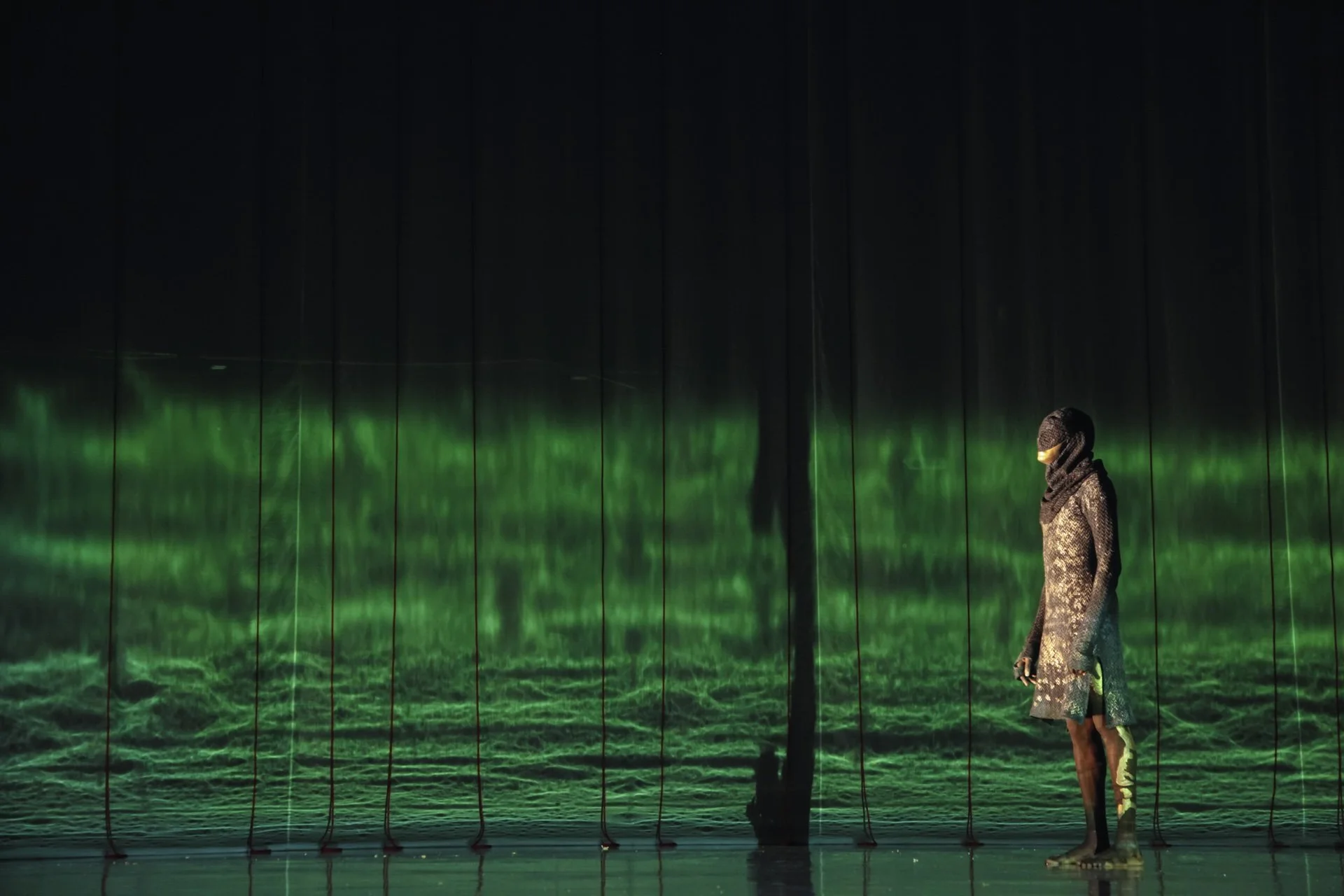 ACIE-zj-PICA-Performance_photo-GiaGoodrich_02-2 copy.jpg