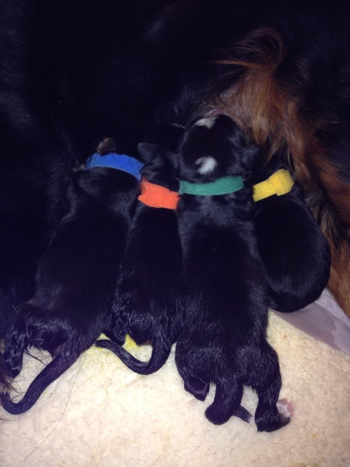 Su primera comida juntos / First meal all together