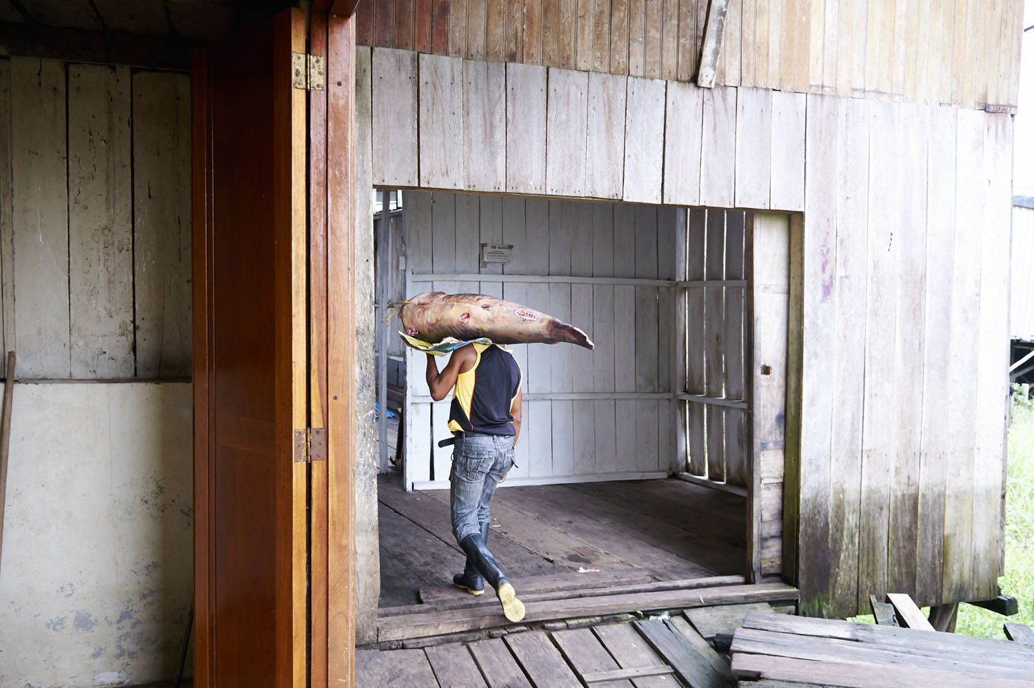 Fish_07.jpg