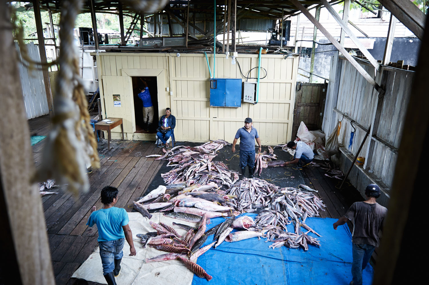 Fish_08.jpg