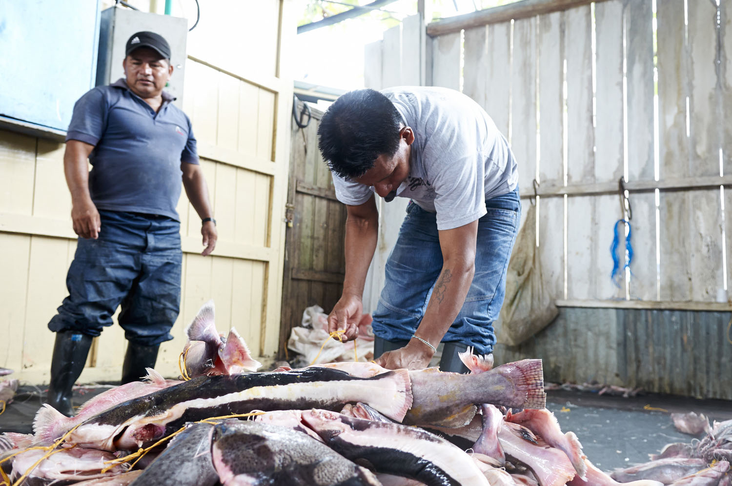 Fish_10.jpg