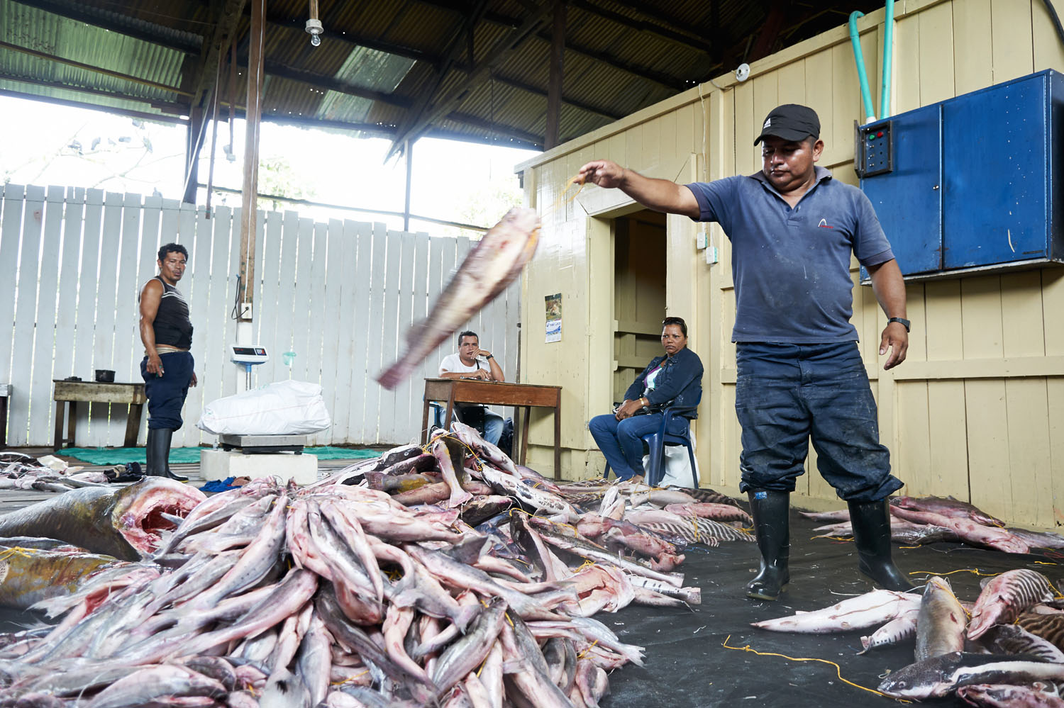 Fish_13.jpg
