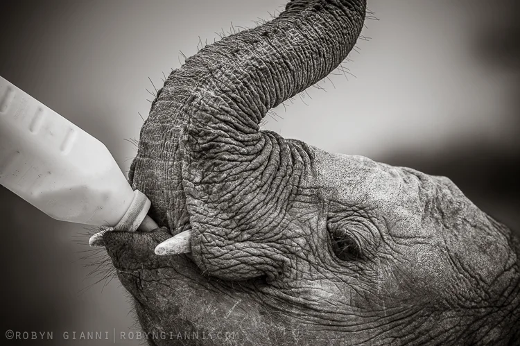 The Keepers Of My Heart