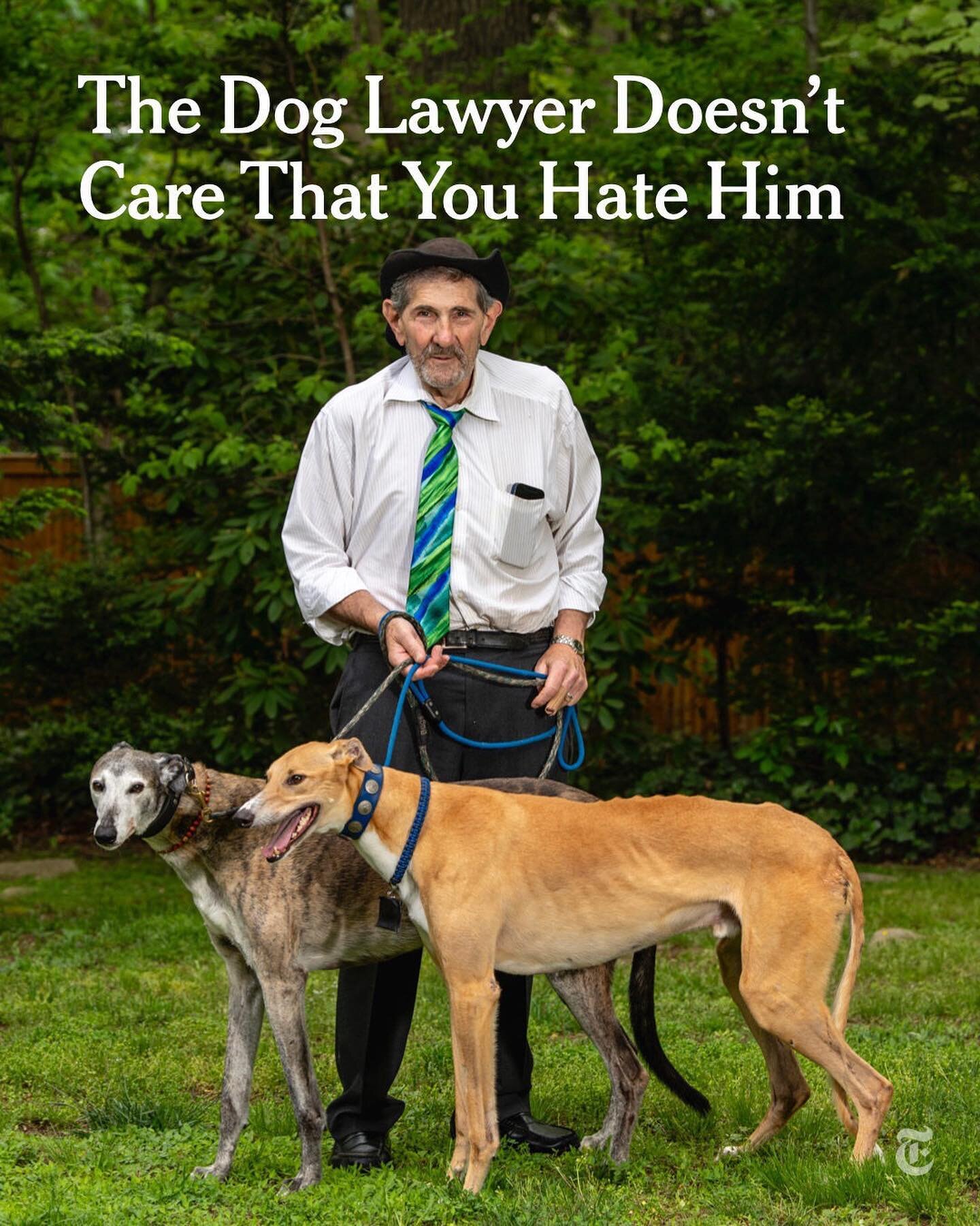 🦮🐕🐩🐕&zwj;🦺🧑&zwj;💼#regram &bull; @nytimes In defending dogs at all costs, Richard Rosenthal has made a lot of enemies. But his animal clients owe him their lives.

As an animal attorney for more than a decade, Rosenthal takes on custody cases, 