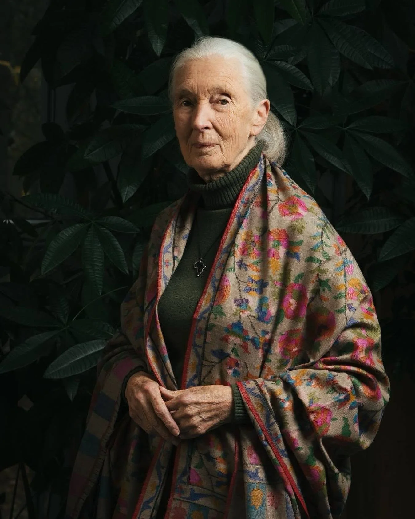 &ldquo;Here we are, the most clever species ever to have lived. So how is it we can destroy the only planet we have?&rdquo; &mdash; Jane Goodall  Thank You For Everything 🍃