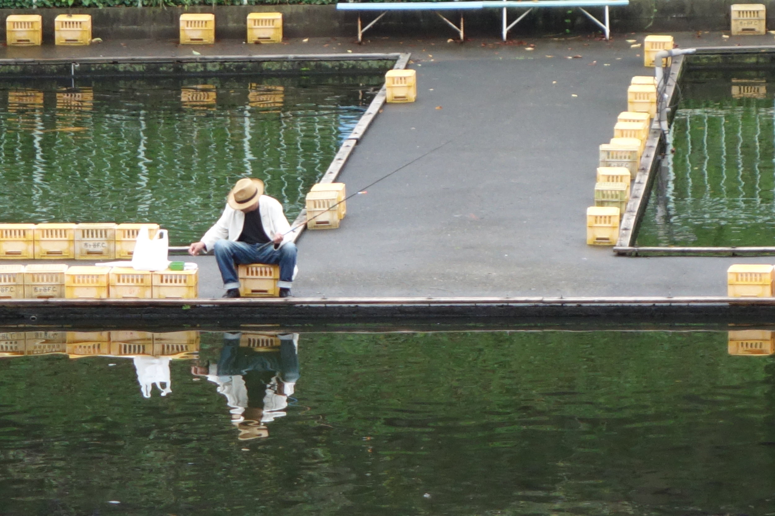 Are they biting?