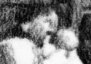 Transient