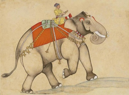 ElephantRider.jpg