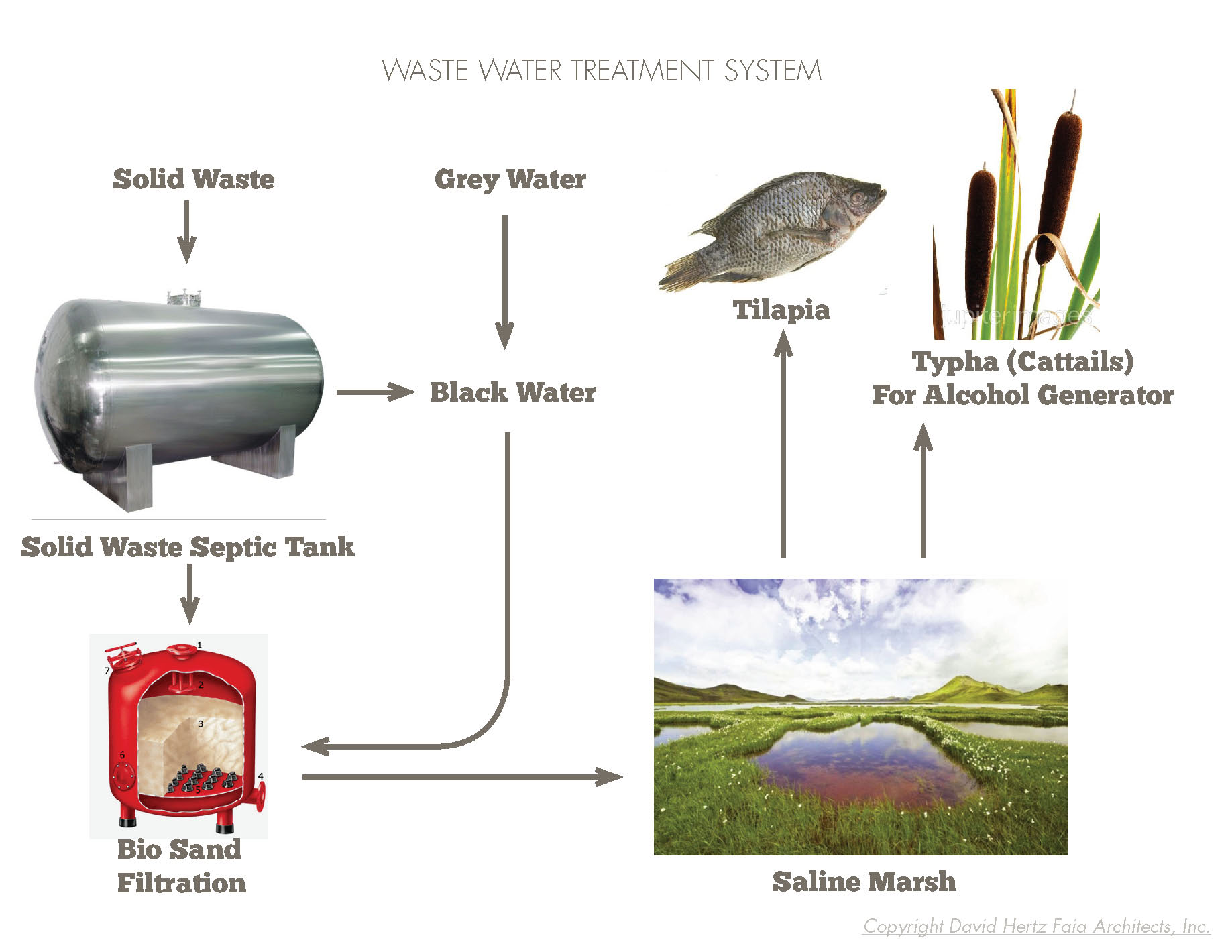 S.E.A.-Studio-Environmental-Architecture-David-Hertz-FAIA-Beran-East-Indies-Trader-Watermans-Resort-Papua-New-Guinea-sustainable-regenerative-restorative-green-design-hospitality-tropical-resort-hotel-biomimetic-tensile-structure-site-diagram-2.jpg