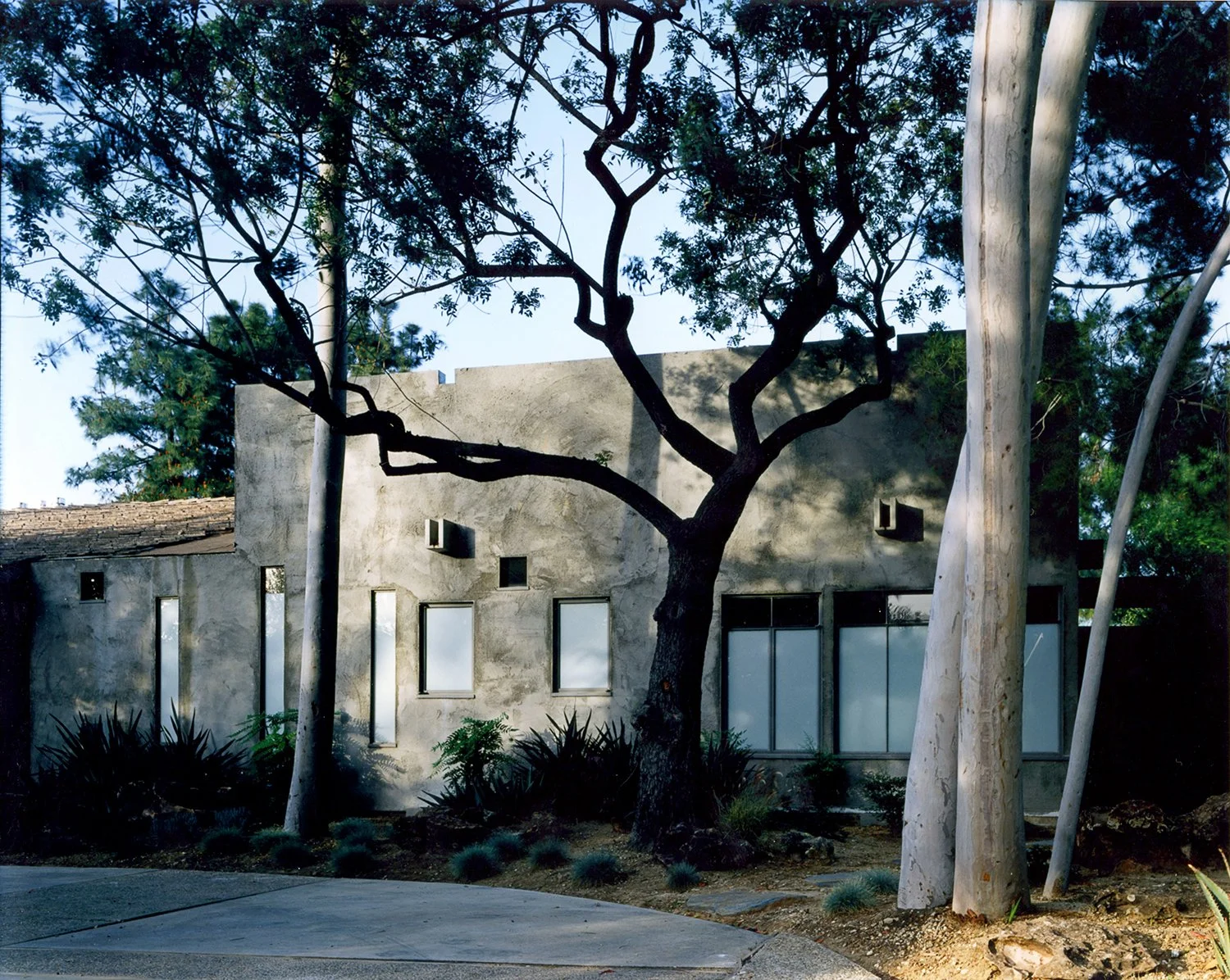 S.E.A.-Studio-Environmental-Architecture-David-Hertz-FAIA-Stradella-House-Los-Angeles-sustainable-regenerative-restorative-design-residential-contemporary-modern-passive-systems-recycled-wood-concrete-green-building-Hollywood-Hills-view-studioea-15.jpg