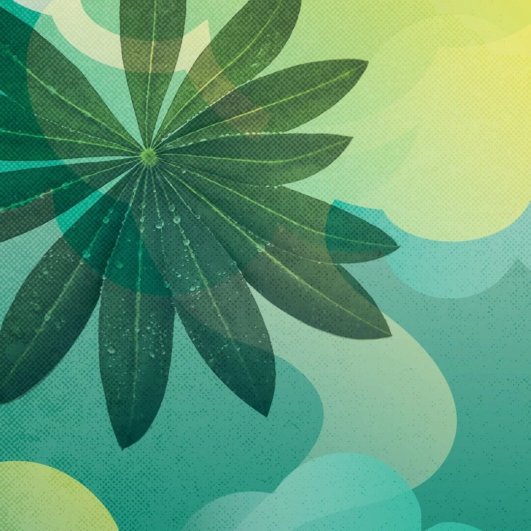 3/3 Sneak peek at some fun things in the works. 👀🌿 #wip .
.
.
#cmangodesign #graphicdesign #brandidentity #eventbranding #workinprogress #torontodesigner #sneakpeek