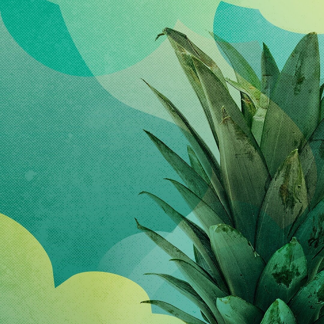 1/3 Sneak peek at some fun things in the works. 👀🌿 #wip .
.
.
#cmangodesign #graphicdesign #brandidentity #eventbranding #workinprogress #torontodesigner #sneakpeek