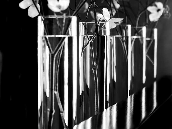 Black and white image of flowers in glass vases on a reflective surface