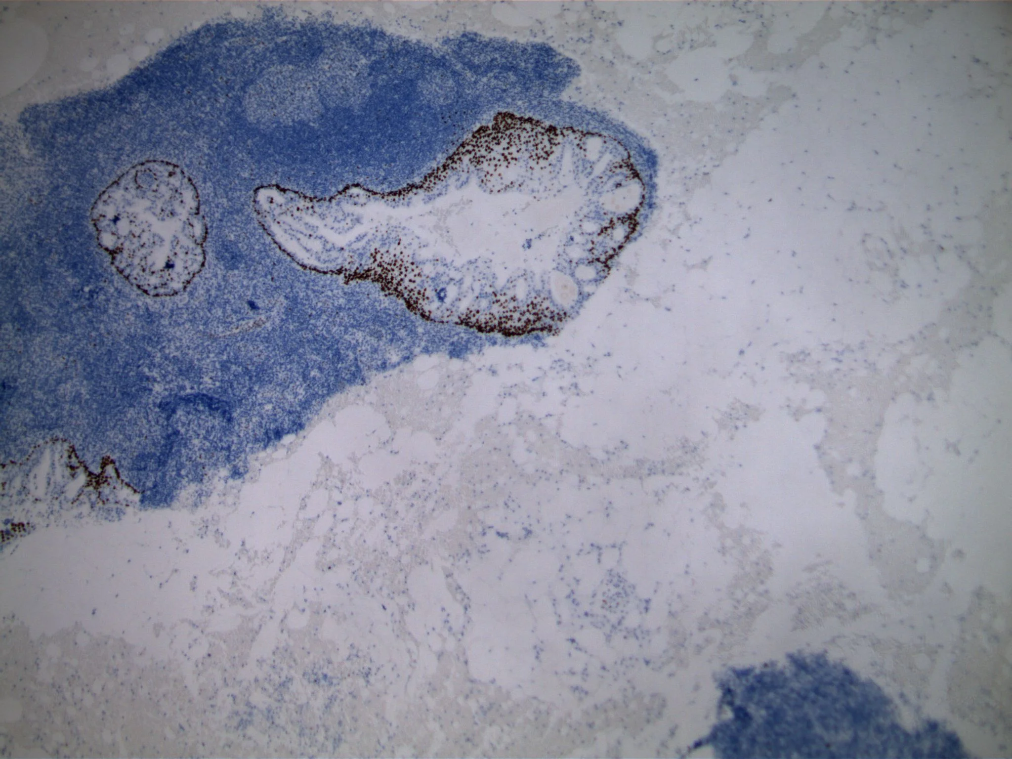 Image 7.
