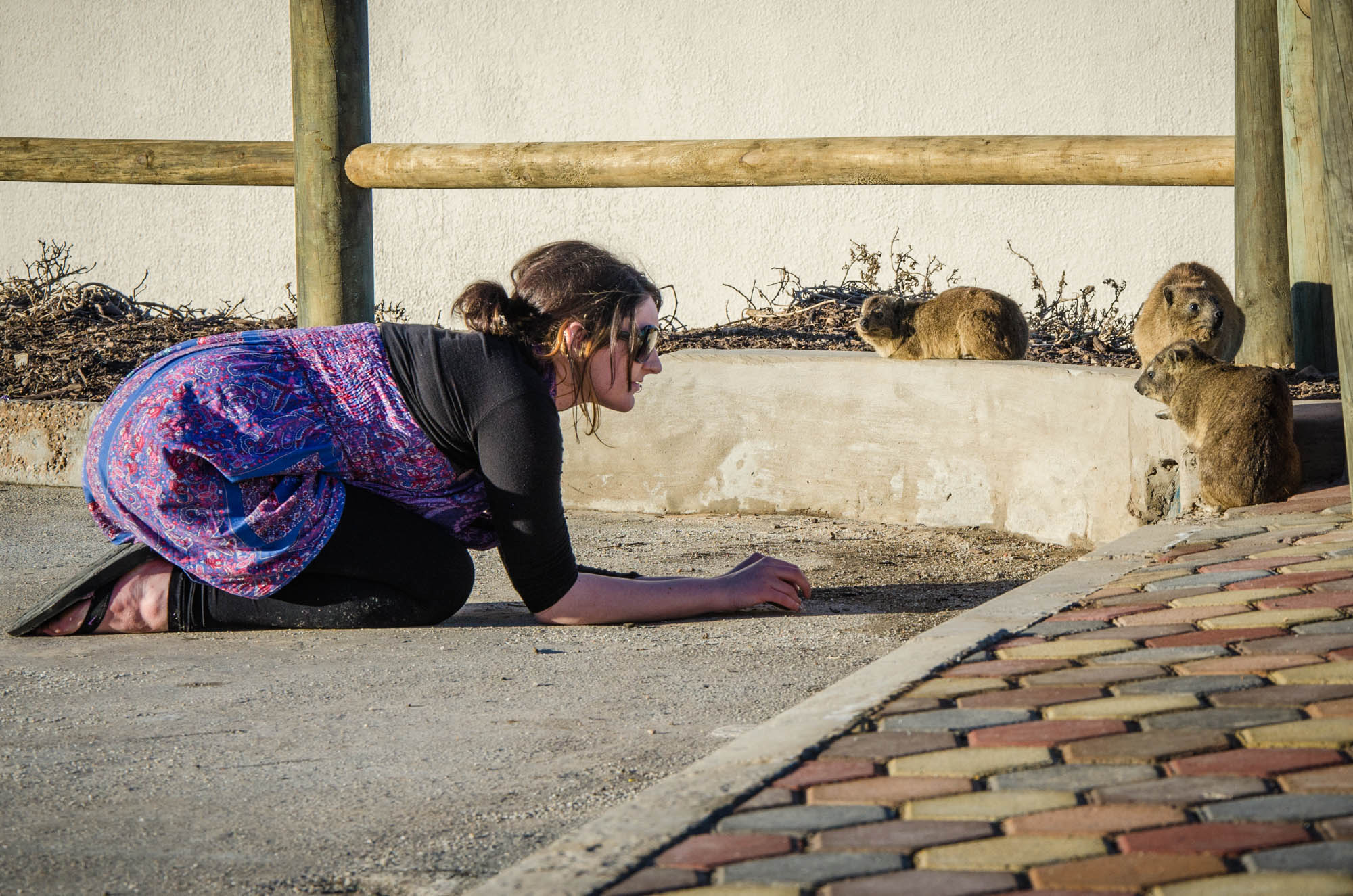Lyndsay was smart enough not to offer food, but still wanted an up-close look.