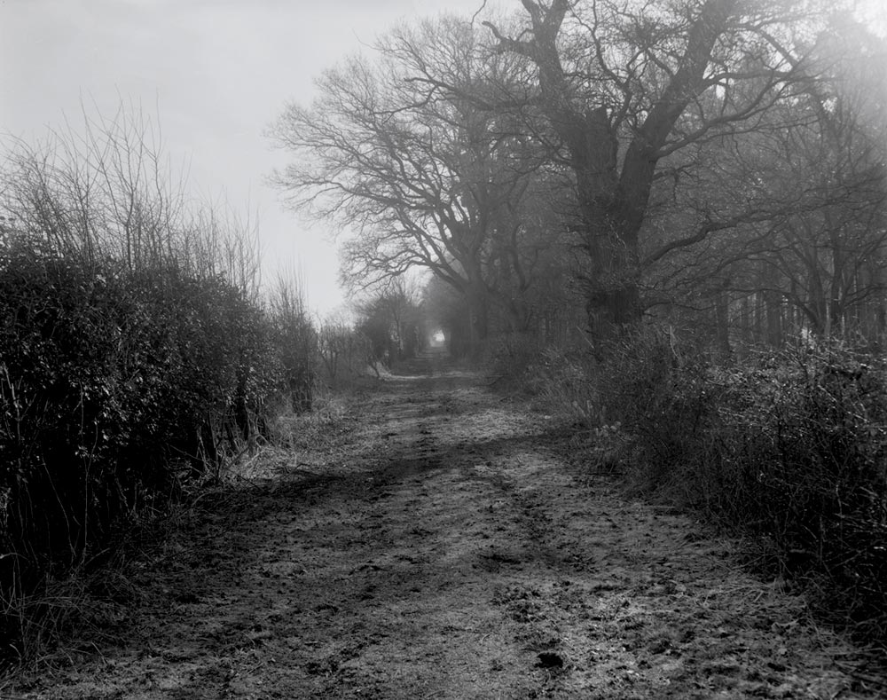 erroll's-briddlepath.jpg