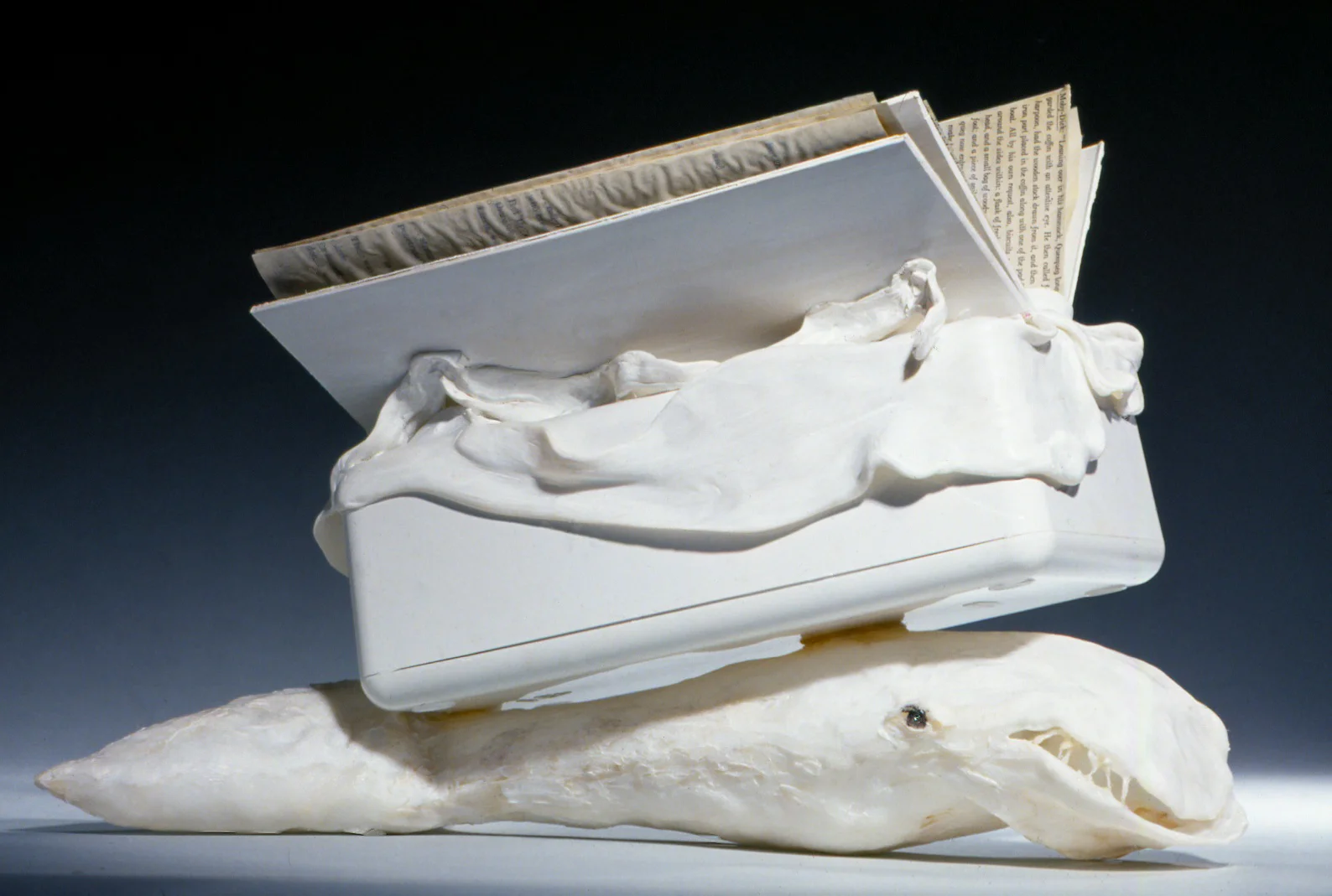 The Ruture of Reading: Melville-->Metcalf