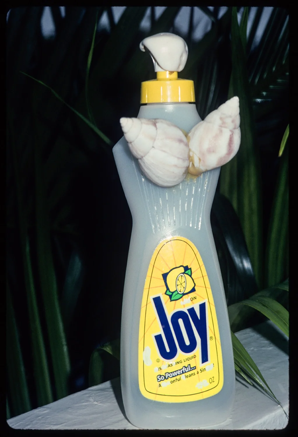 Natural Joy