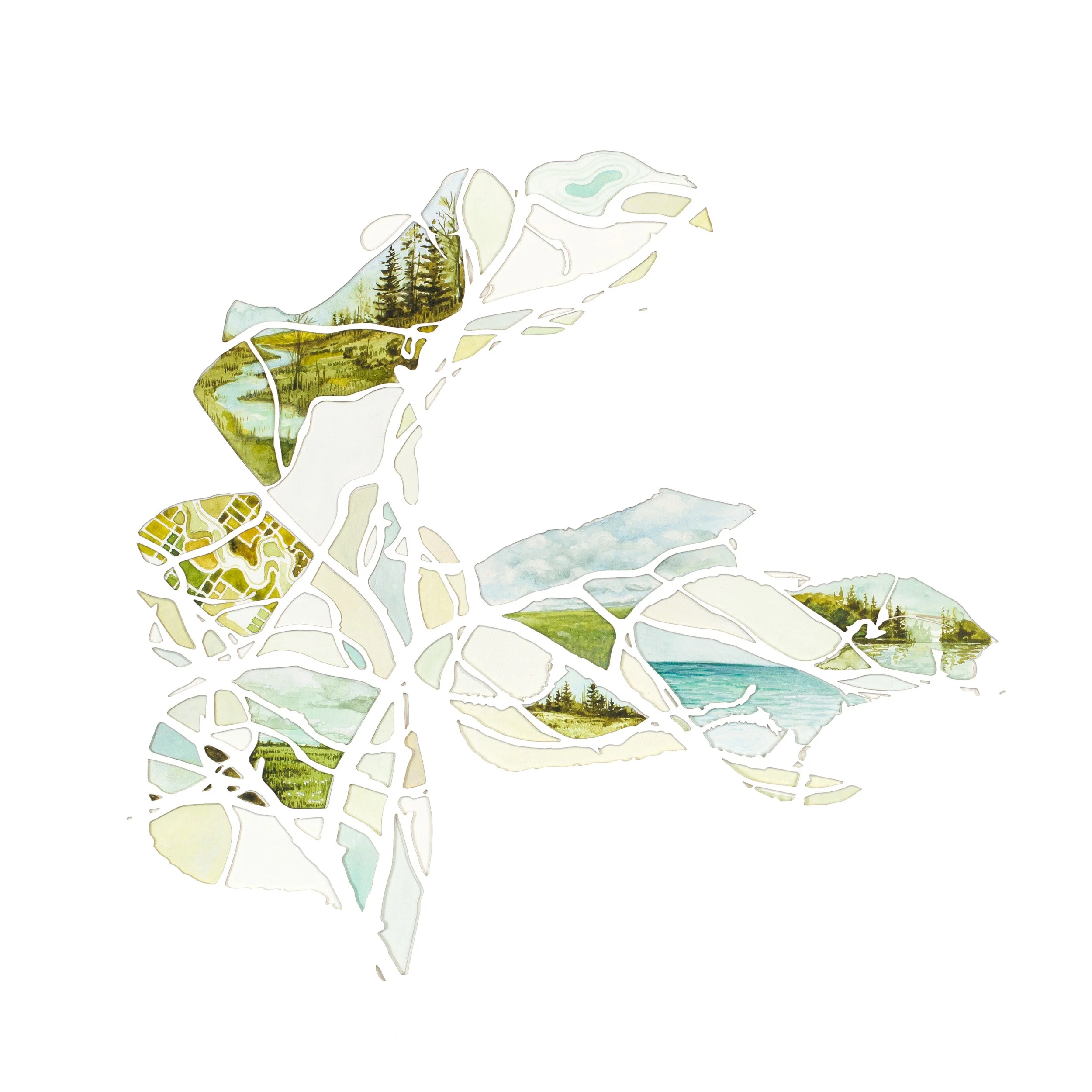 Enter Branch cover art 1.jpg