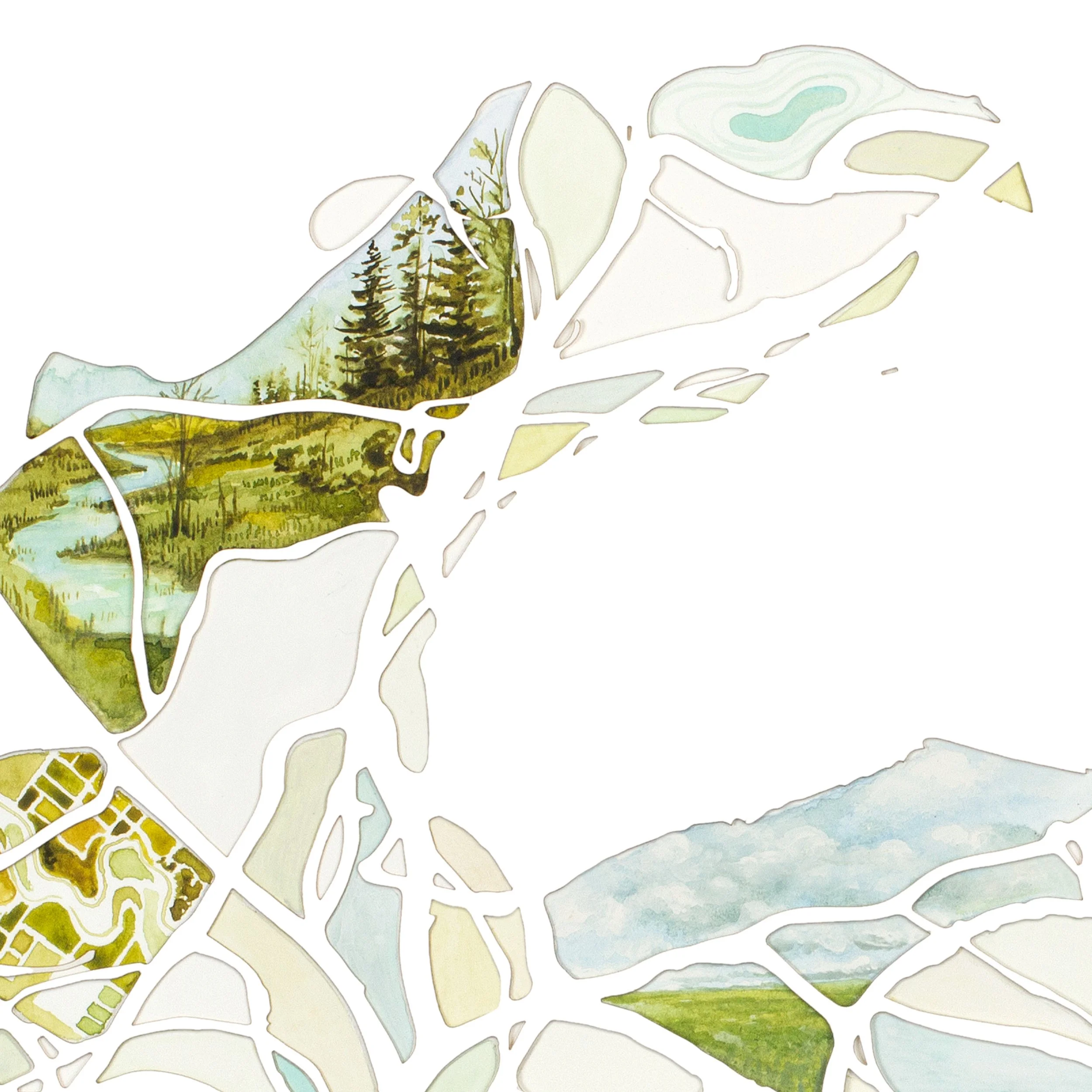 Enter Branch cover art 2.jpg