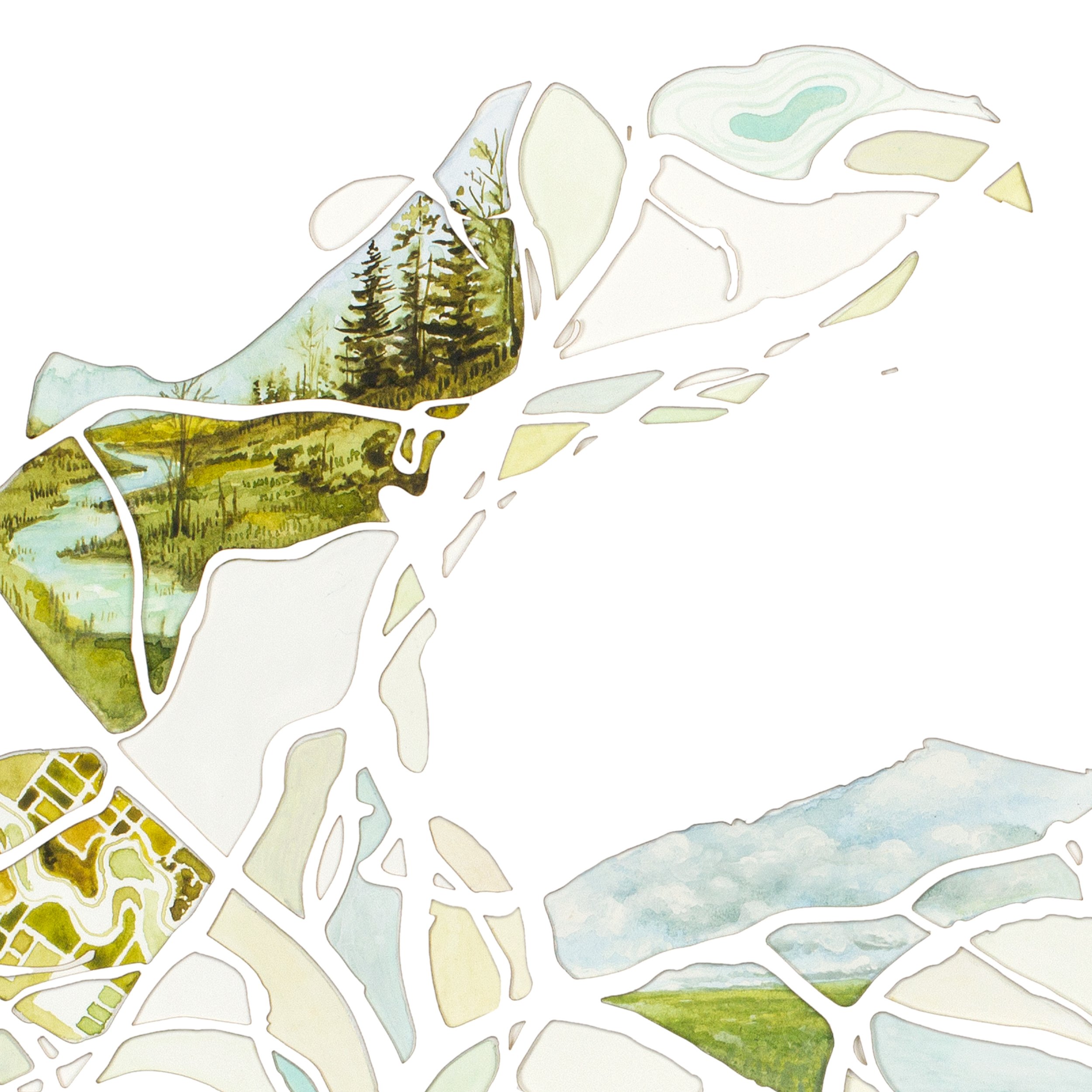 Enter Branch cover art 2.jpg
