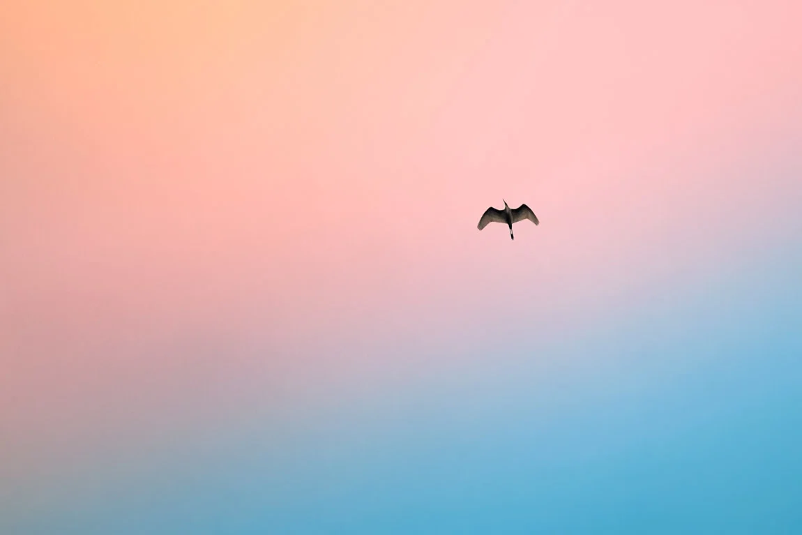 gratitude_11_20_111957_fnl.jpg