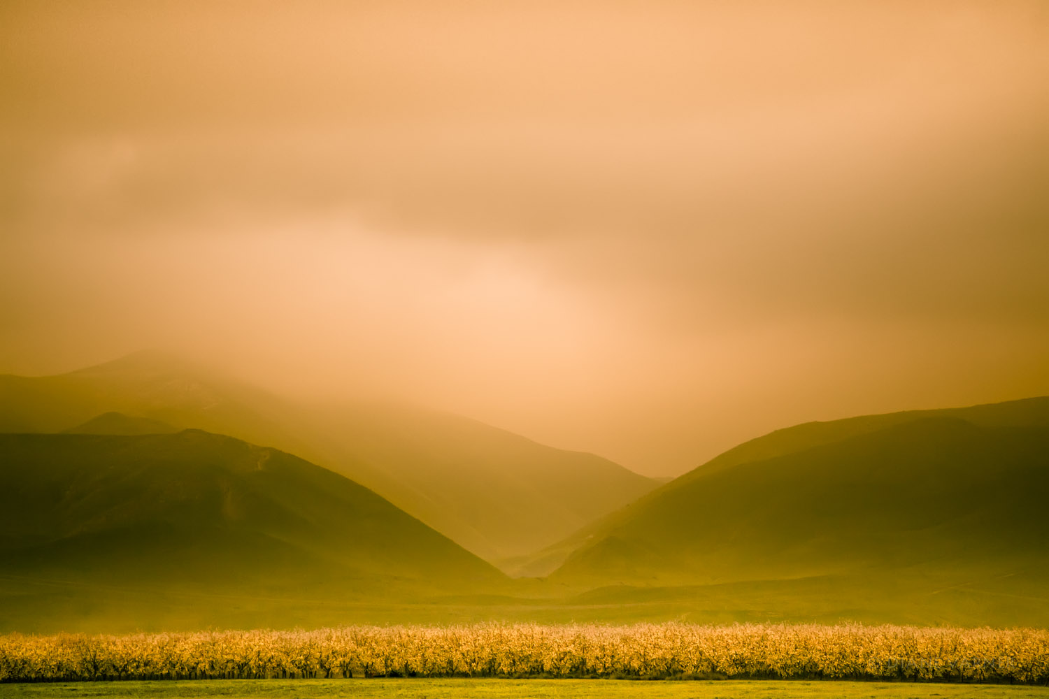 San Joaquin Valley