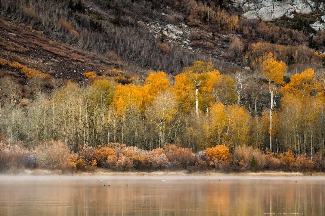 Shore of Parker Lake. We had hoped for lots of autumn color but had missed the peak. Instead, enjoyed quiet trails and found just enough color to get me excited!